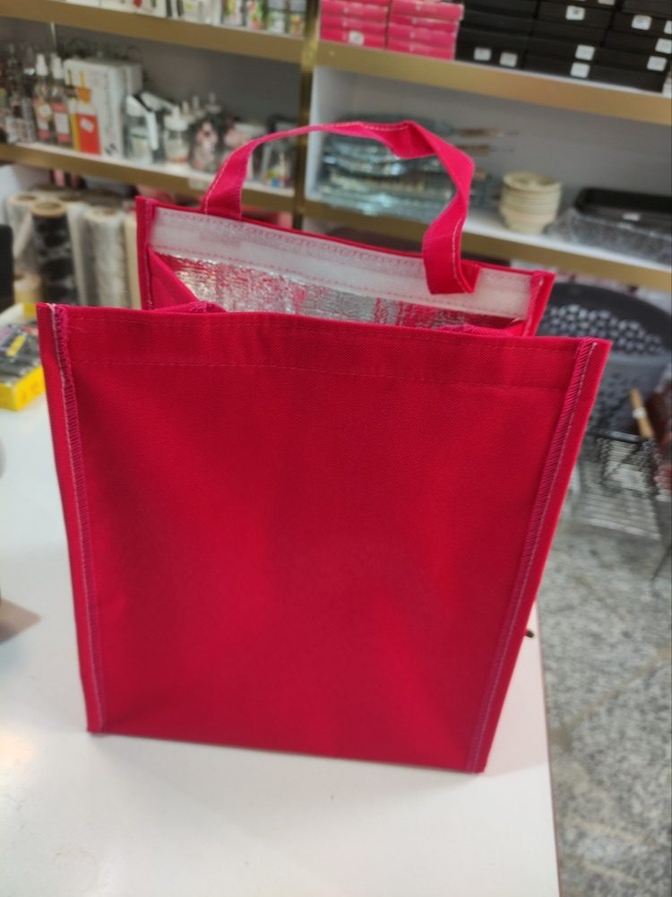 IMG_20240518_192828 کیف پیک نیک کوچک غذابر - تصویر 1